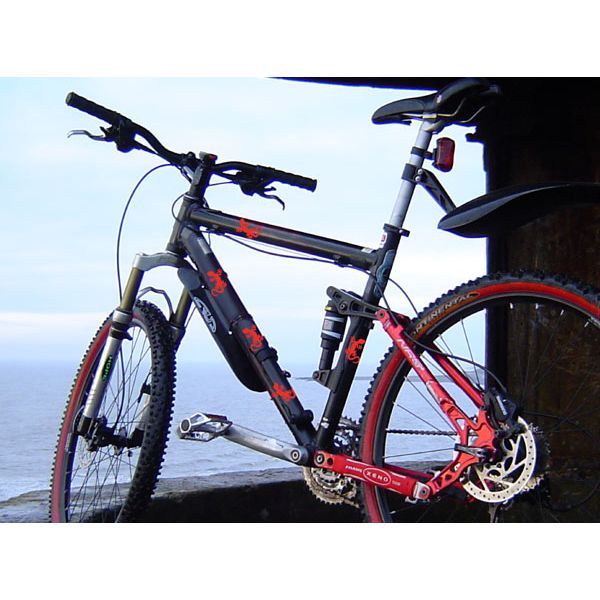FF003 Gekko Gecko Echse Aufkleber Fahrrad sticker