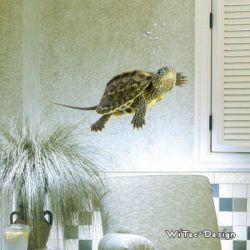 WA200 Wandtattoo SCHILDKR&Ouml;TE Turtle...