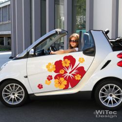 AA062 Big Hibiscus Blumen Aufkleber Set smart twingo ka vw