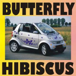 AA039 HIBISCUS SCHMETTERLING Aufkleber Set Blumen smart vw