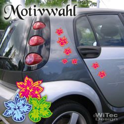 AA100 FARBDRUCK Hawaii Hibiskus Blumen Aufkleber Set auto