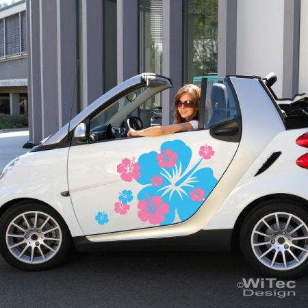AA062 Big Hibiscus Blumen Aufkleber Set smart twingo ka vw