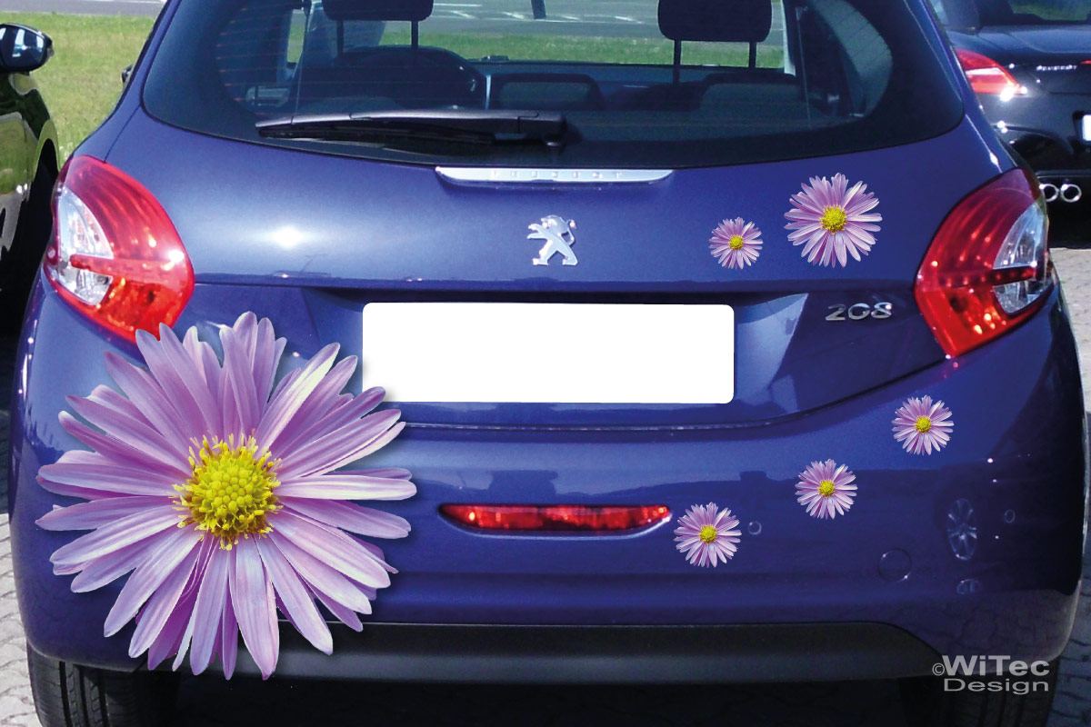 Aster Blumen Digitaldruck Auto Aufkleber Set 2