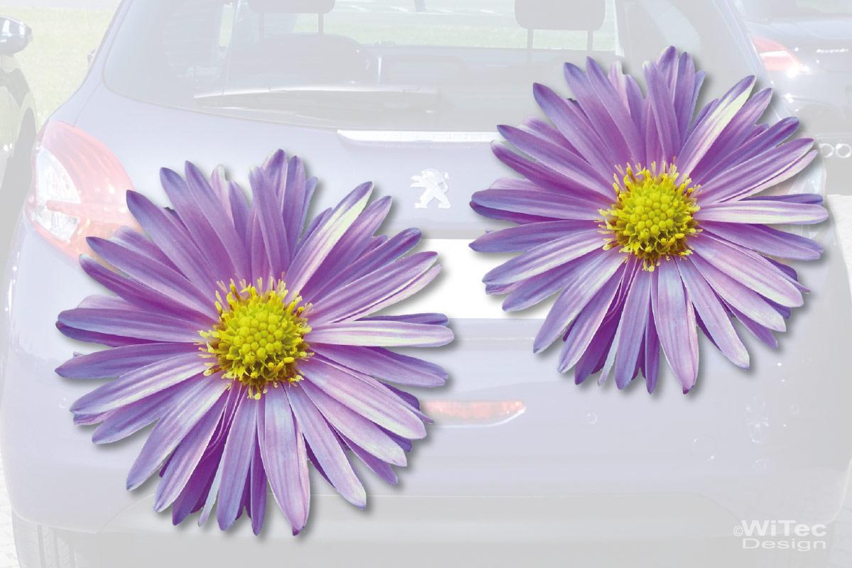 Aster Blumen Digitaldruck Auto Aufkleber Set 2