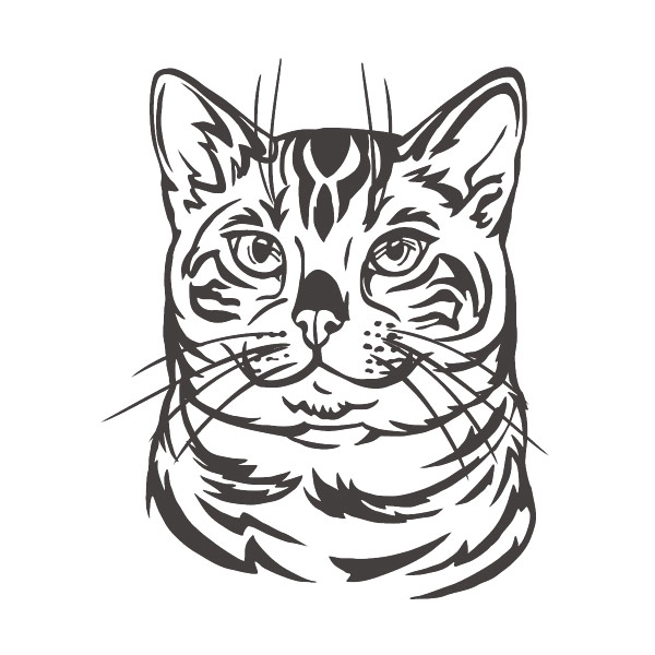 Autoaufkleber Bengal Katze Aufkleber Sticker