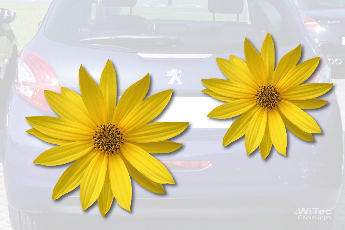 Helianthus Blumen Auto Aufkleber Autoaufkleber Sticker