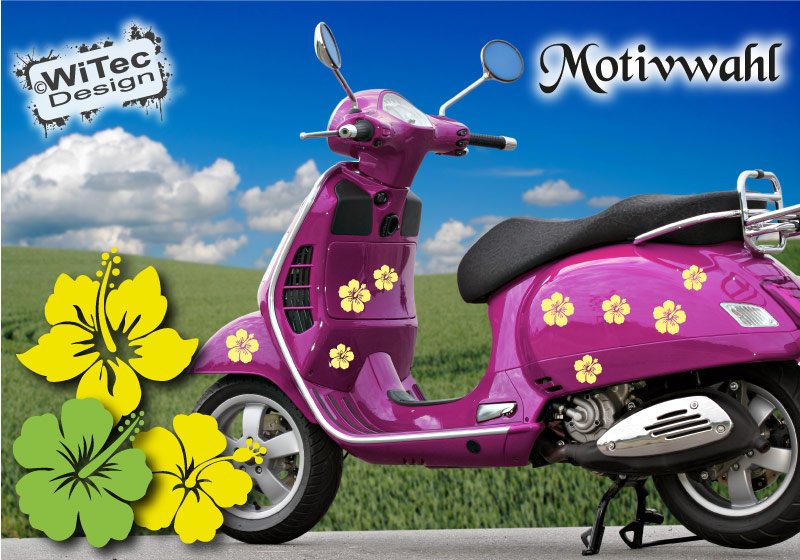 Roller Aufkleber Hibiskus Blumen Sticker Hawaii Set