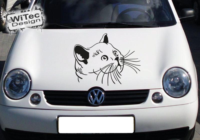 Autoaufkleber Katze Kätzchen Auto Aufkleber Motorhaube