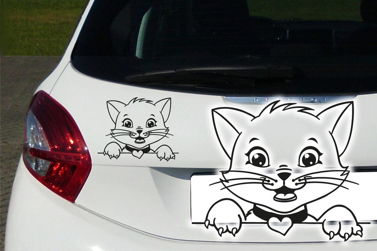 Katze Kätzchen Auto Aufkleber