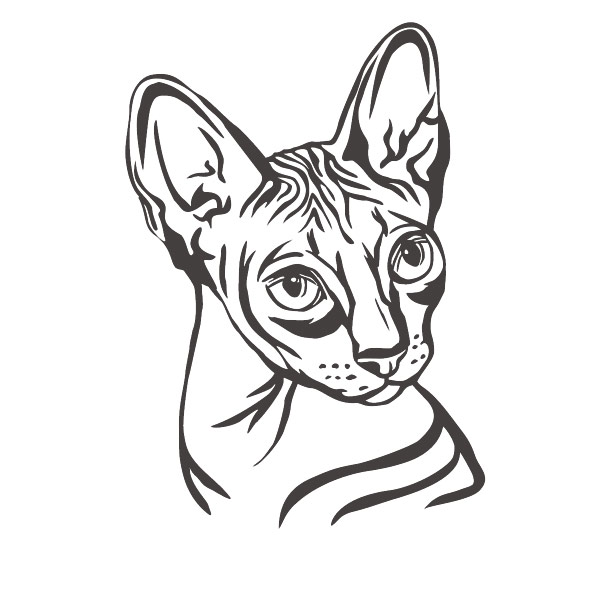 Autoaufkleber Sphynx Katze Aufkleber Sticker