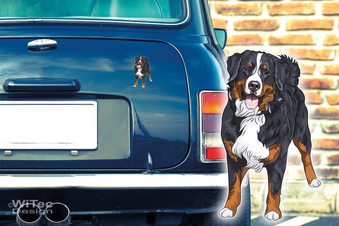 Hundeaufkleber Berner Sennenhund Autoaufkleber Sticker