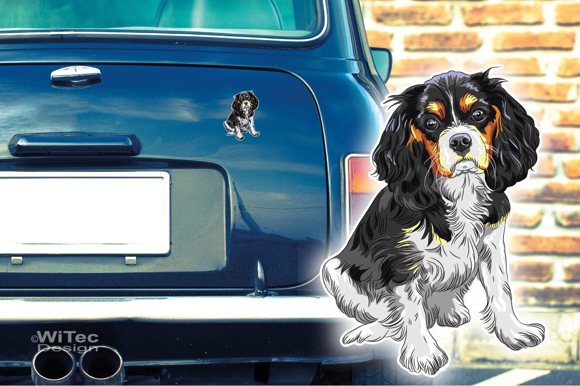 Hundeaufkleber Cavalier King Charles Spaniel Autoaufkleber