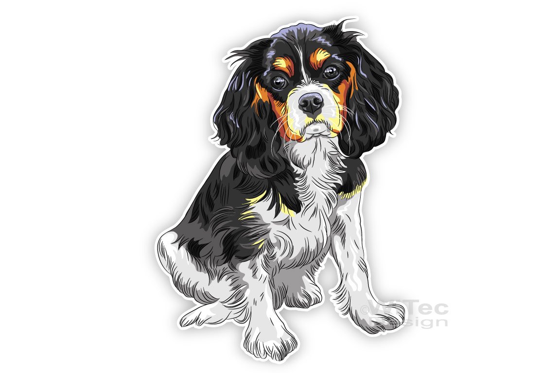 Hundeaufkleber Cavalier King Charles Spaniel Autoaufkleber