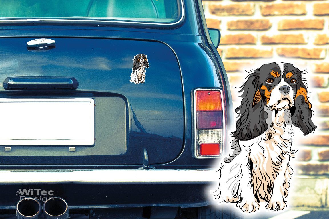 Hundeaufkleber Cavalier King Charles Spaniel Autoaufkleber