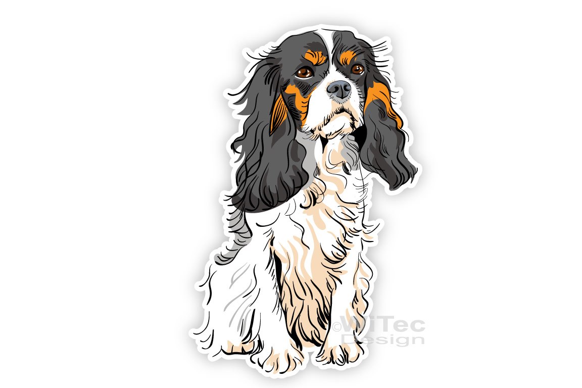Hundeaufkleber Cavalier King Charles Spaniel Autoaufkleber