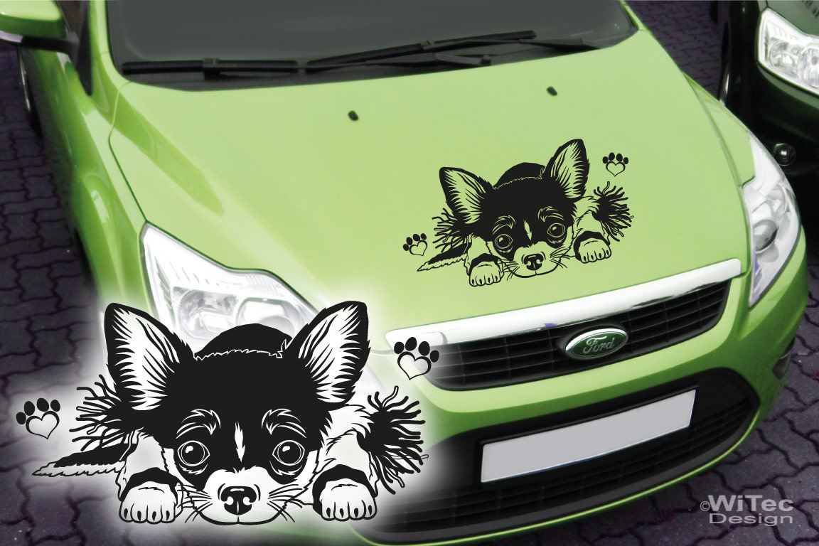 Autoaufkleber Chihuahua Pfoten Hundeaufkleber