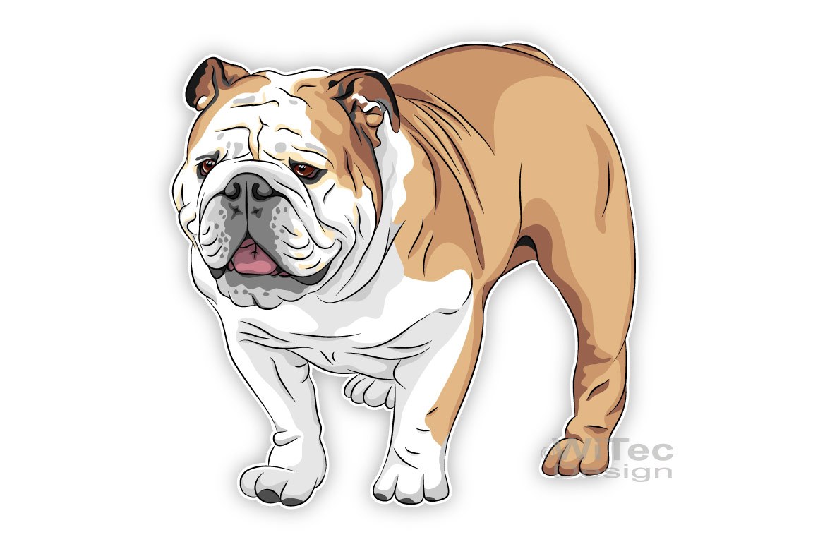Hundeaufkleber Englische Bulldogge Auto Aufkleber Sticker