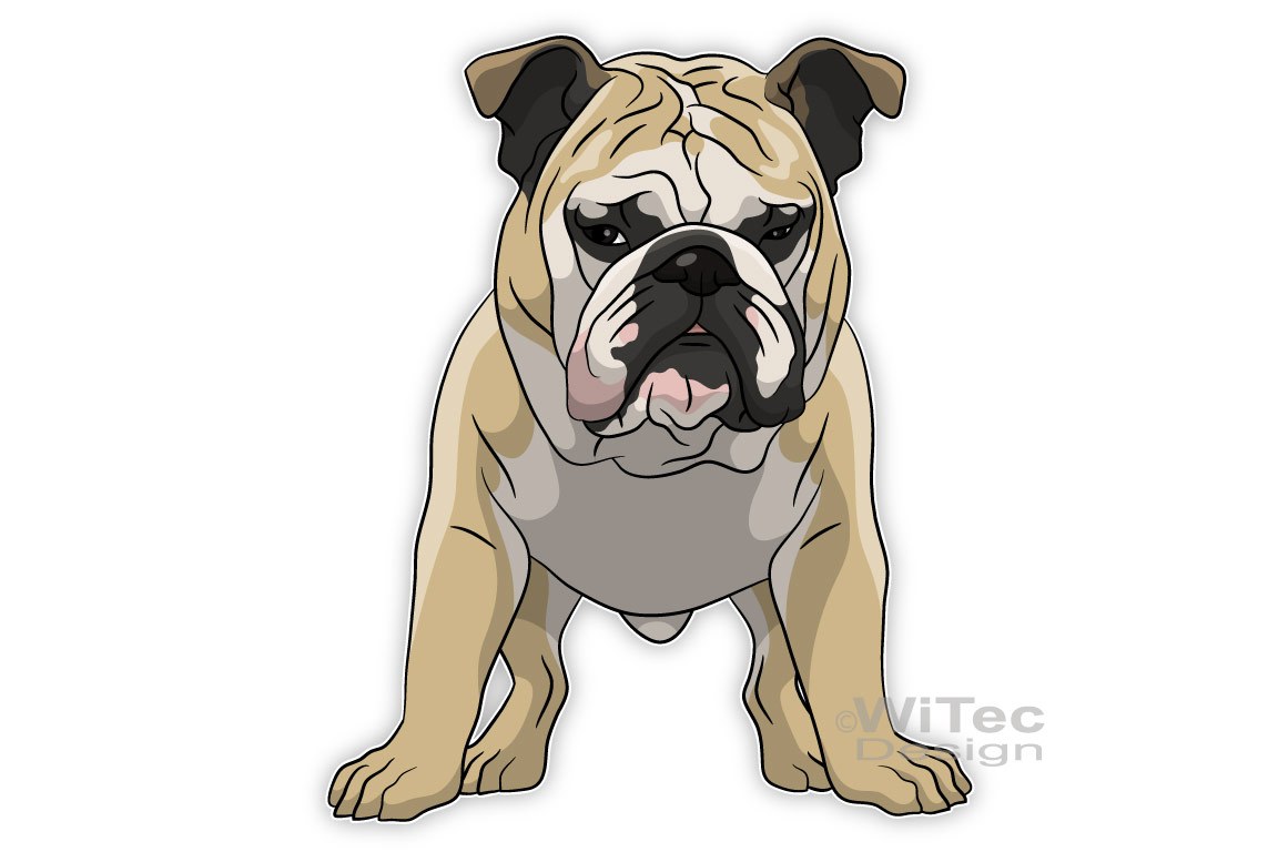 Hundeaufkleber Englische Bulldogge Auto Aufkleber Sticker Hundeaufkleber Englische Bulldogge Auto Aufkleber Sticker