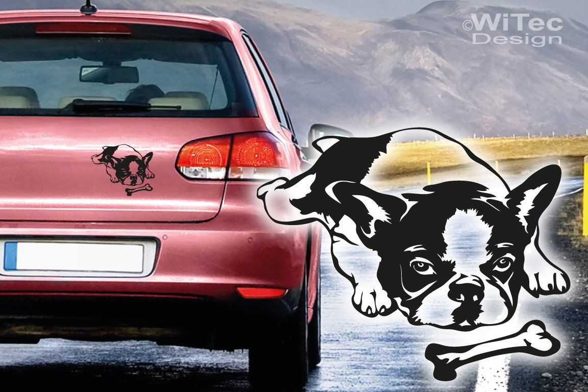 Hundeaufkleber Französische Bulldogge Auto Aufkleber