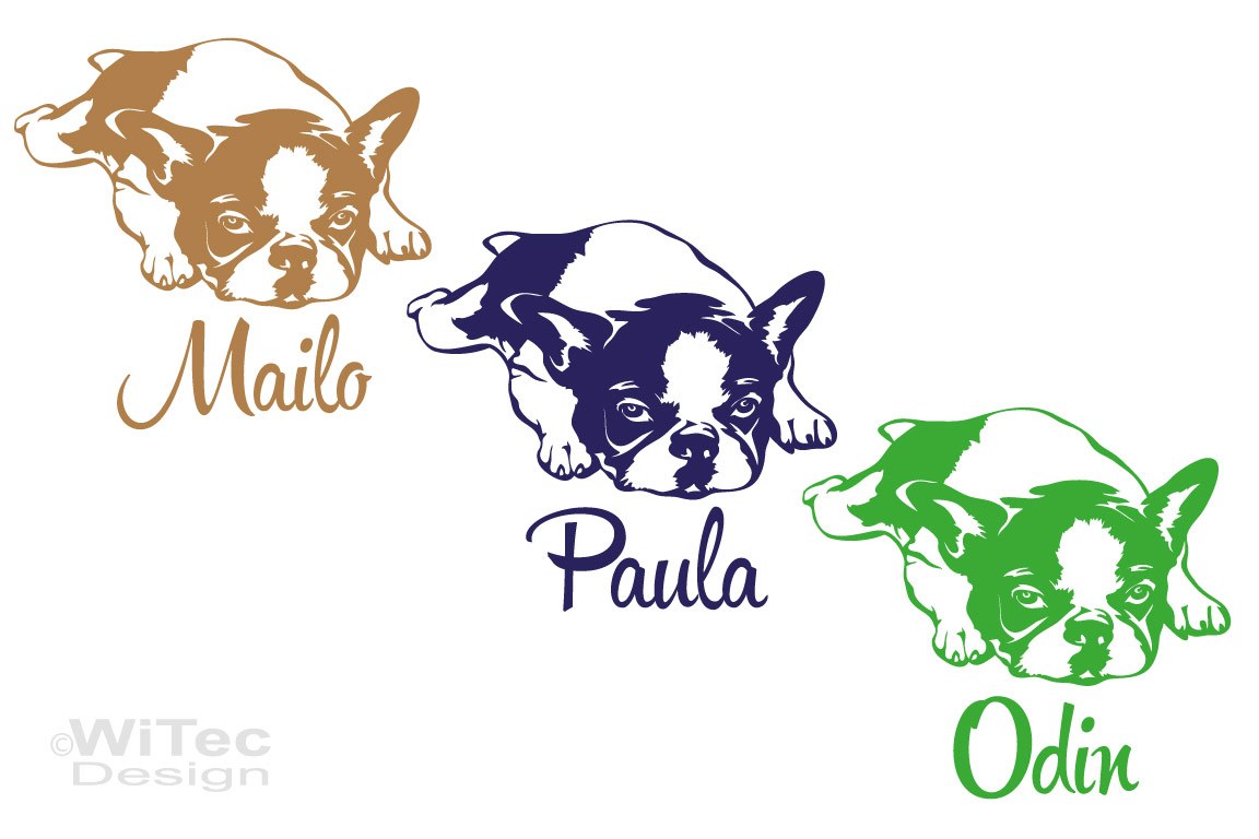 Hundeaufkleber Französische Bulldogge Autoaufkleber