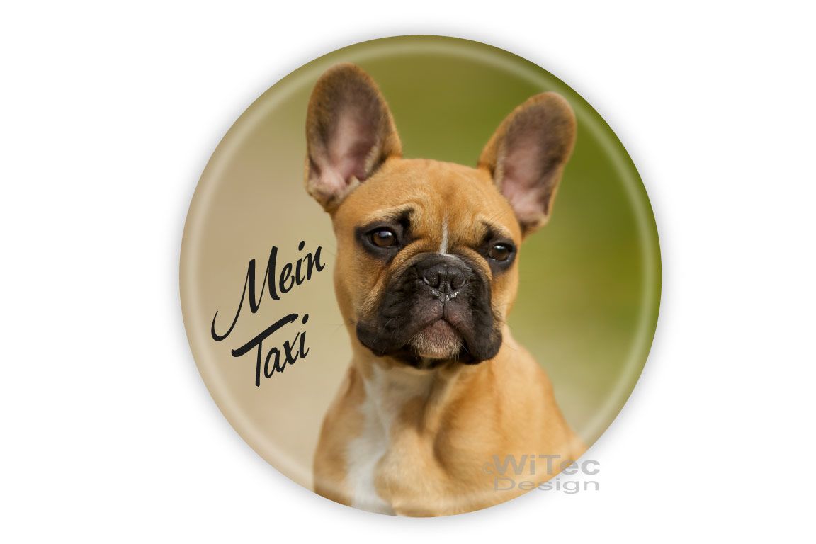 Französische Bulldogge Auto Aufkleber Hundeaufkleber Mein Taxi Hundeaufkleber Französische Bulldogge Mein Taxi Auto Aufkleber