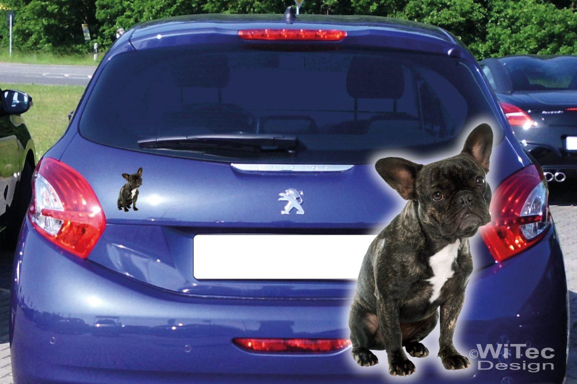 Hundeaufkleber Französische Bulldogge Auto Aufkleber Sticker
