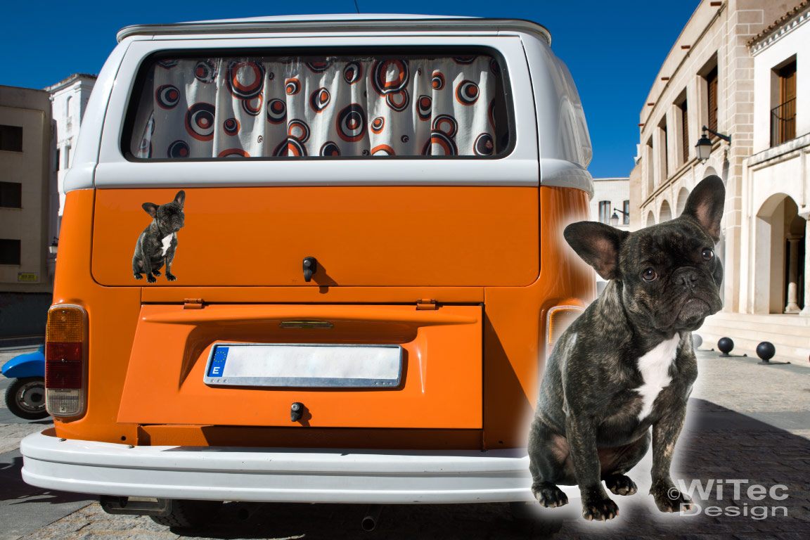 Hundeaufkleber Französische Bulldogge Auto Aufkleber Sticker