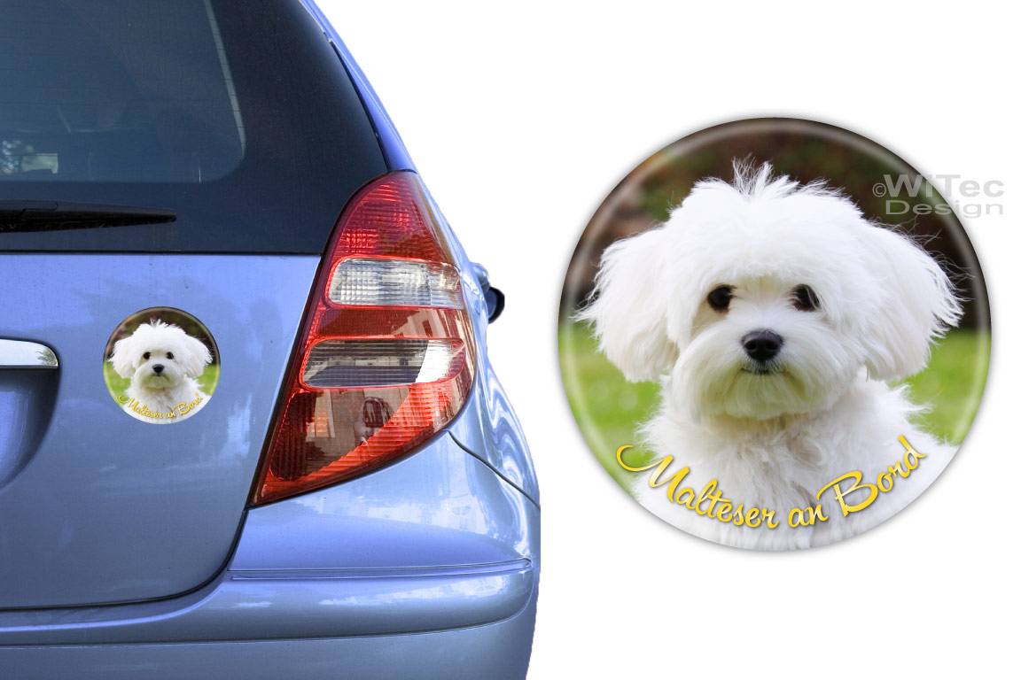 Aufkleber Malteser an Bord Hundeaufkleber