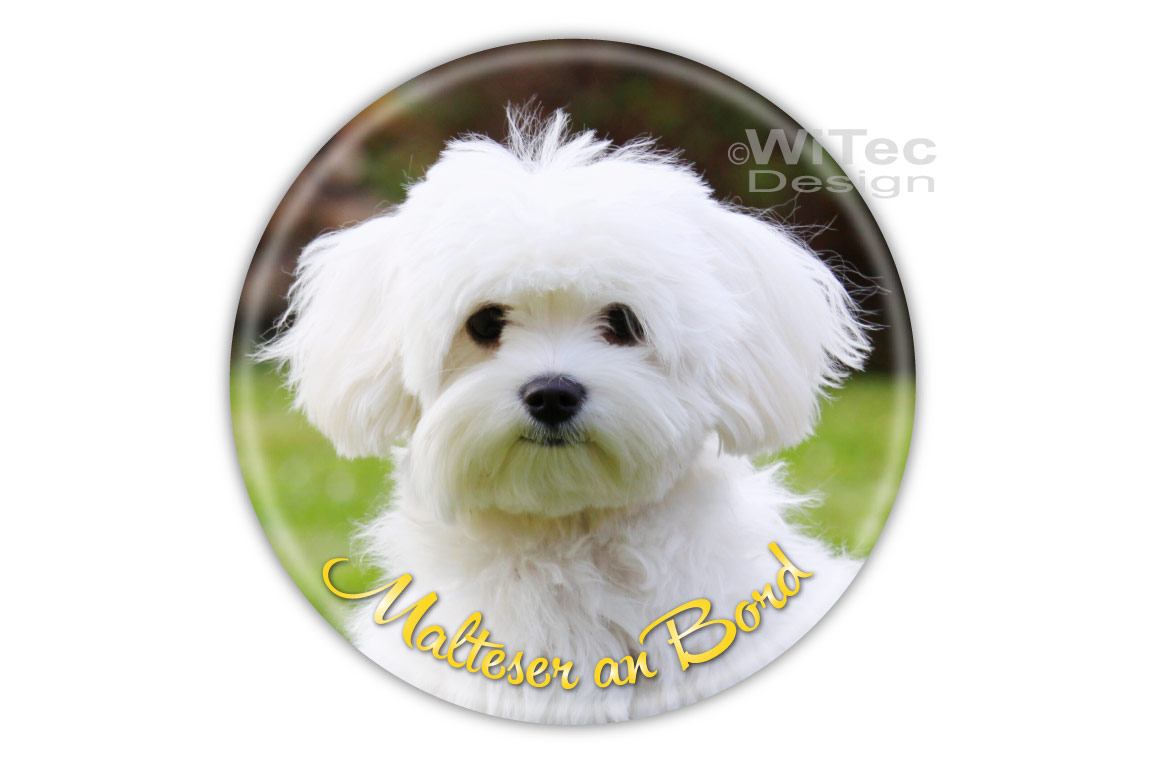 Hundeaufkleber Malteser an Bord Auto Aufkleber
