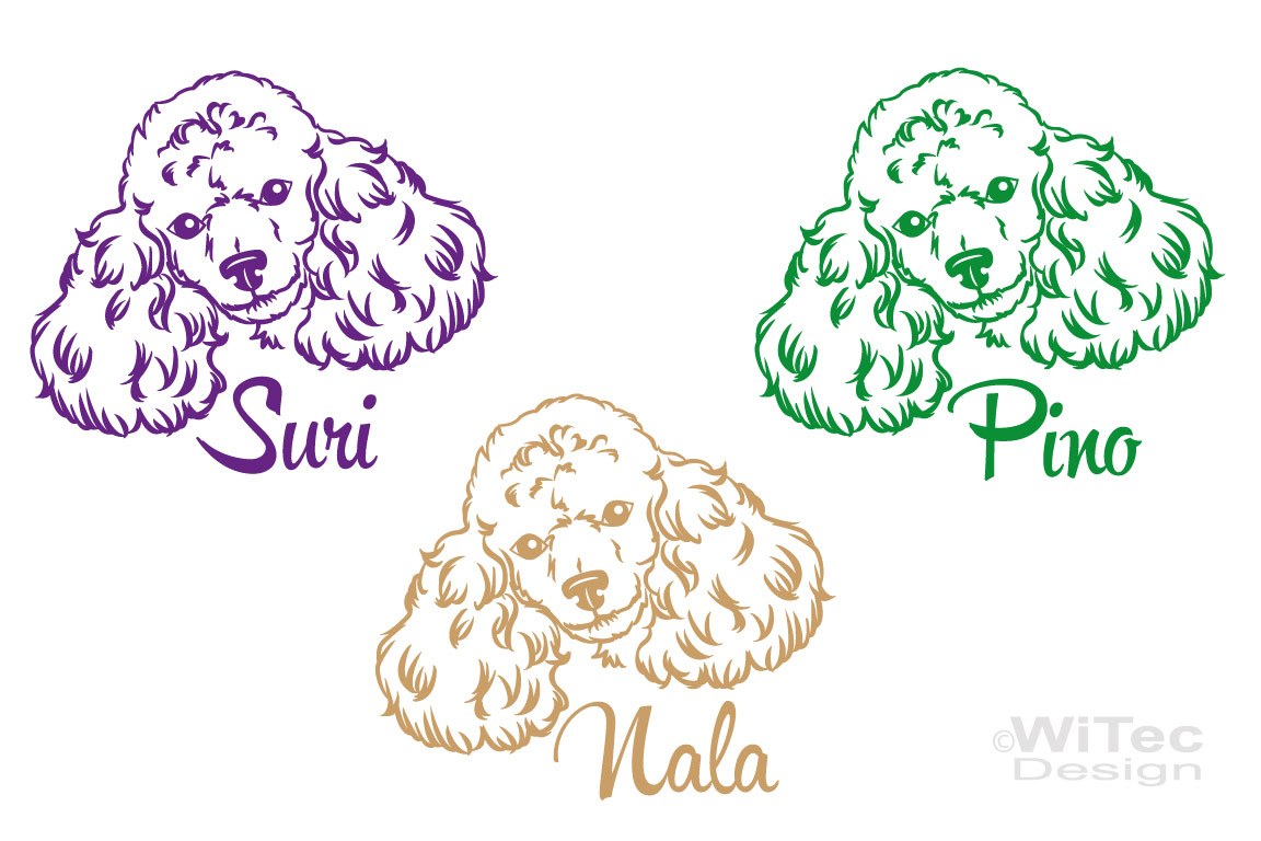 Hundeaufkleber Pudel Autoaufkleber Hundesticker