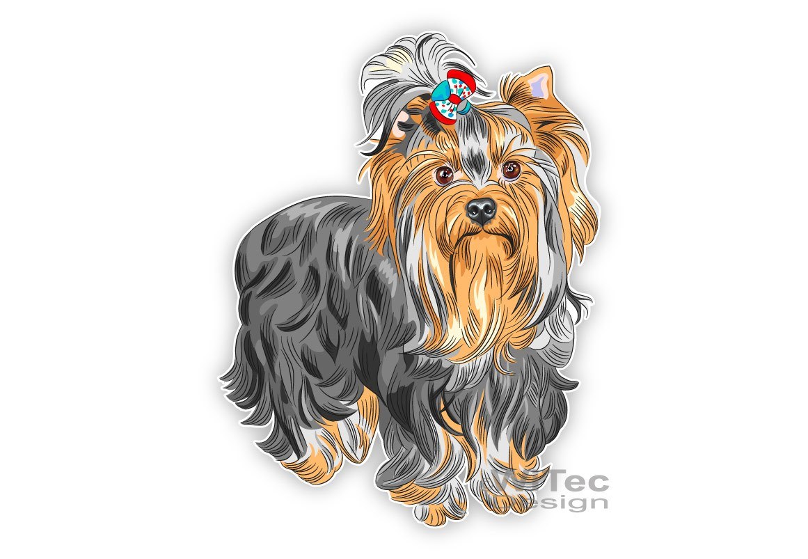 Autoaufkleber Yorkshire hundeaufkleber yorkshire terrier auto aufkleber sticker Autoaufkleber Yorkshire hundeaufkleber yorkshire terrier auto aufkleber sticker