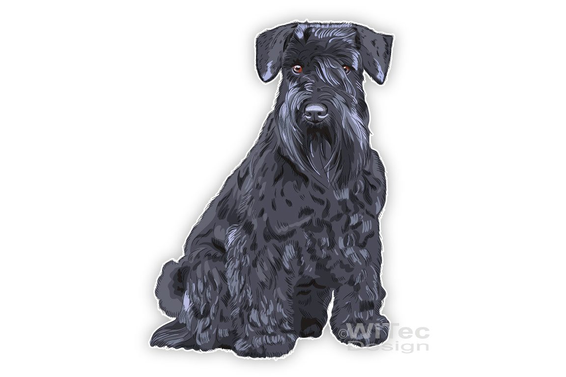 Hundeaufkleber Zwergschnauzer Schnauzer Autoaufkleber Stickerr