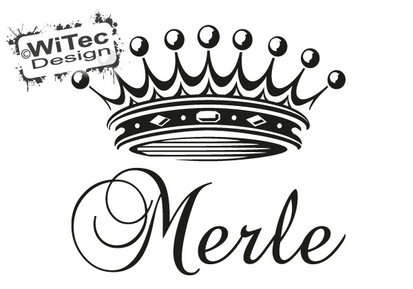 Türaufkleber Name Mädchen Krone Kinderzimmer Türaufkleber Prinzessin Krone Wunsch Name