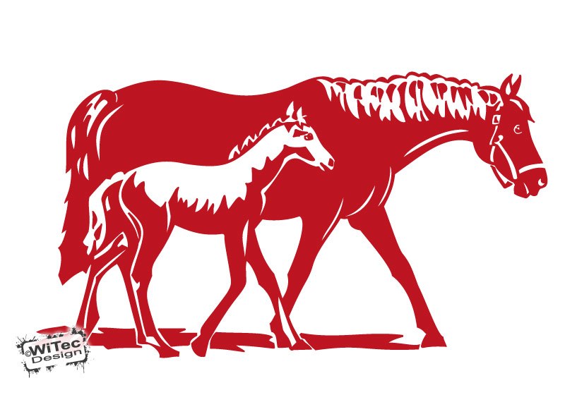 Wandtattoo Pferd Fohlen Wandaufkleber Pferde Kinderzimmer