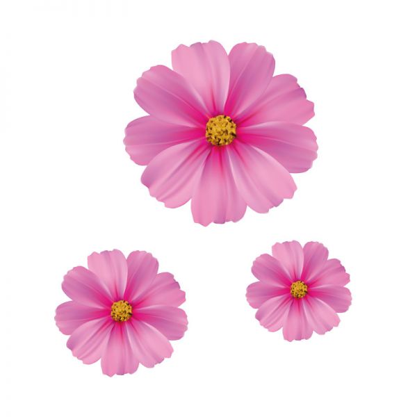 Blumenaufkleber Autoaufkleber Blumen Blütenzauber Blumenaufkleber Autoaufkleber Blumen Blütenzauber