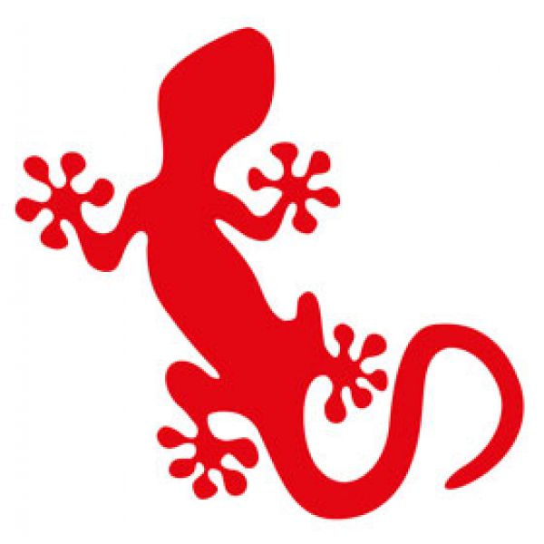FF003 Gekko Gecko Echse Aufkleber Fahrrad sticker