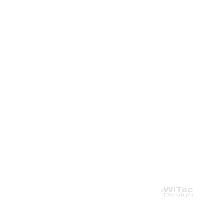 Wandtattoo CARPE DIEM Wandaufkleber