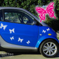 Schmetterlinge Hawaii Autoaufkleber Set