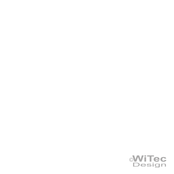 Autoaufkleber Gecko Gekko 2er Set Tribal Sticker