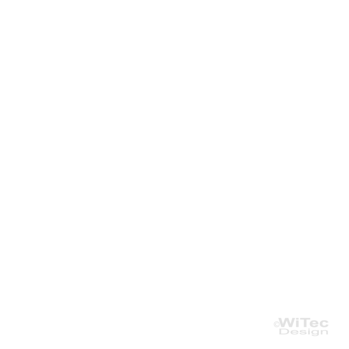 Wandtattoor CARPE DIEM - Nutze den Tag - Zitat