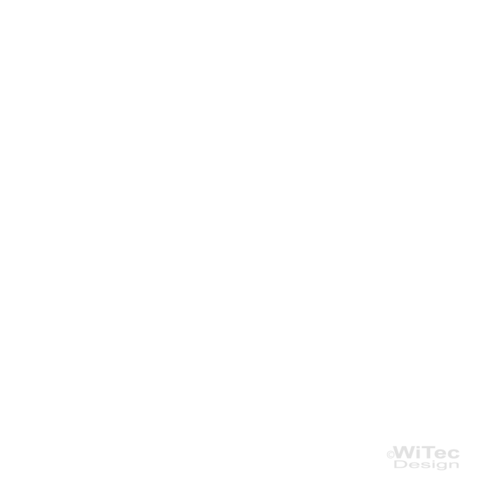 Wandtattoo Gecko Gekko Echse 2er Wandaufkleber