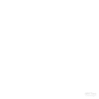 Wandtattoo Zebra Pferde Afrika Wandaufkleber