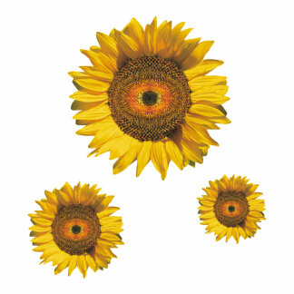 Sonnenblume Blumen Digitaldruck Aufkleber Set 1