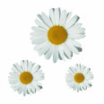 Margerite Blumen Digitaldruck Aufkleber Set 4