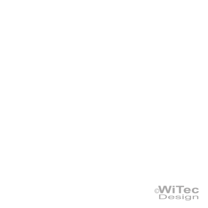 AA200 Autoaufkleber Gekko Gecko Sticker 2er Set