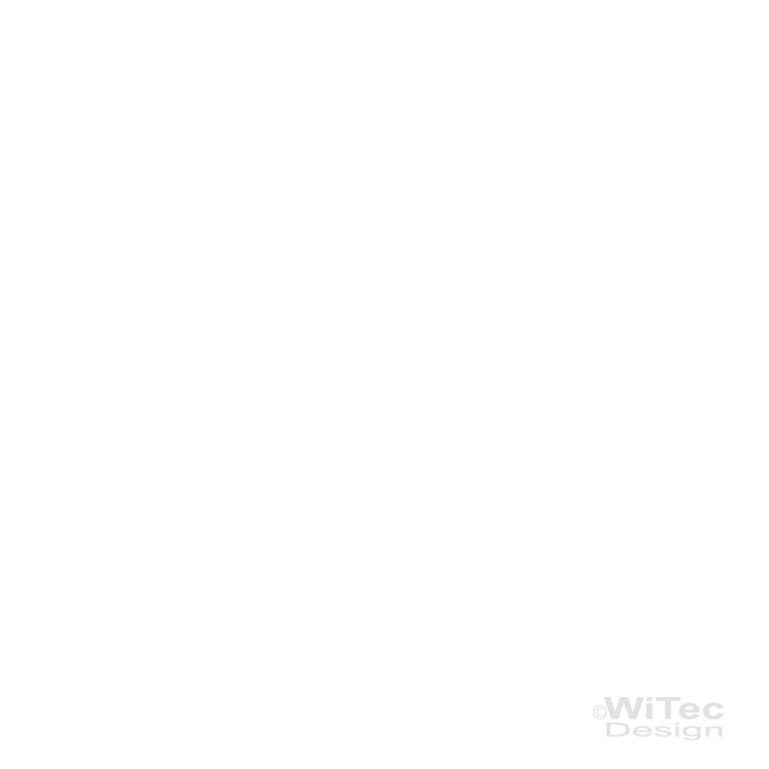 WA313 Wandtattoo Manche Hähne... Zitat Fontane