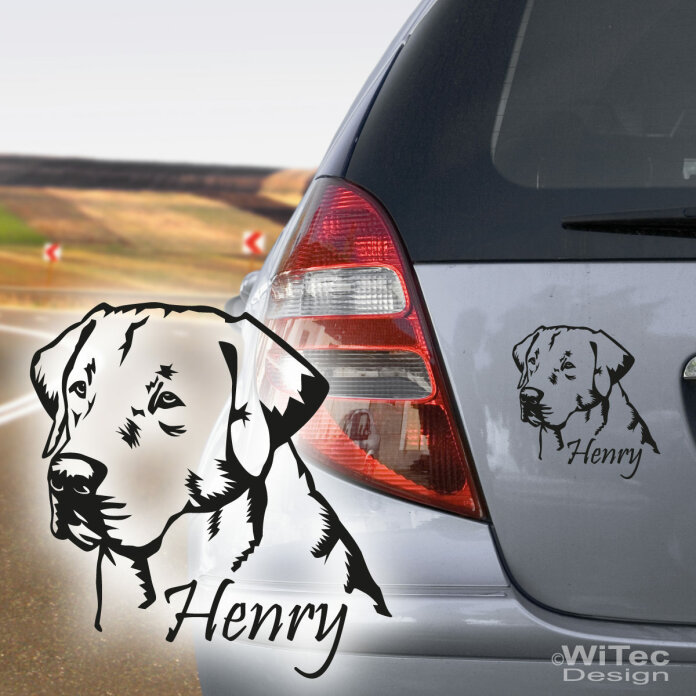 47++ Labrador sprueche , Fährst du immer so? Lustige Bilder, Sprüche