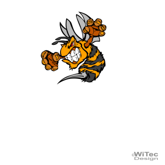 Autoaufkleber Hetz mich nicht Böse Hornisse Biene Wespe Sticker