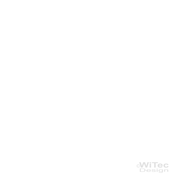 Chamäleon Leguan Reptil Wandaufkleber Wandtattoo