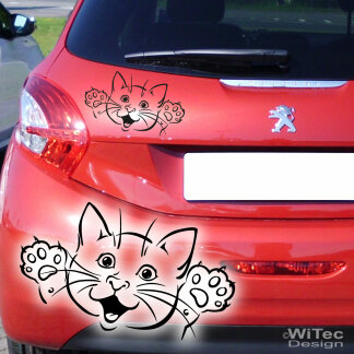 Katze K&auml;tzchen Autoaufkleber Auto Aufkleber Sticker